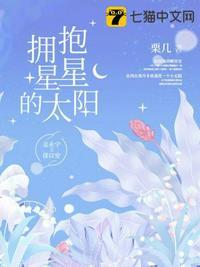 拥抱星星的太阳电视剧