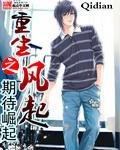 重生之风起东北全免
