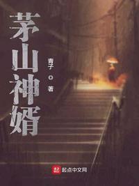 陆羽的免费读