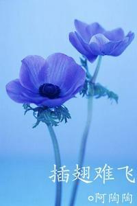陆进沈初云笔趣阁