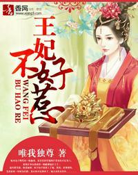 王妃不好惹木婉灵
