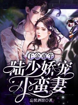 重生千金陆少追妻路漫漫