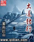 大道独行境界