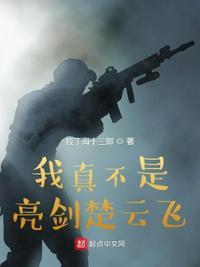 我真不是亮剑第一特种兵