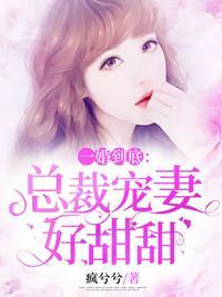 总裁隐婚甜宠文