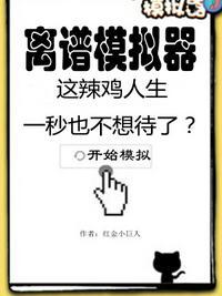 libom模拟器