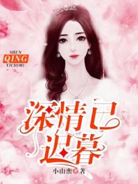 深情已迟暮季雨晴版免费阅读