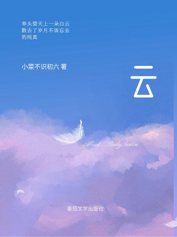 云汉芯城