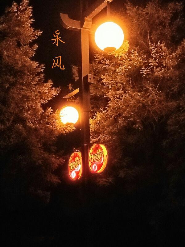 采风间俗是什么生肖