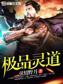 极品灵石