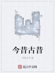 亮剑之我是丁伟