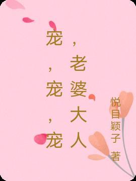 宠妻达人是什么意思