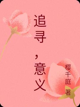 追寻意义的分论点