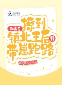 和离后撩到镇北王后我带崽跑路讲的什么