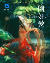 刚好爱上你不早也不晚是什么歌曲