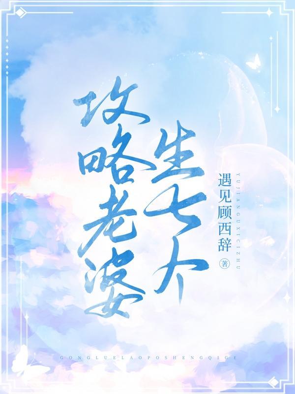 小宝的七个老婆1攻略