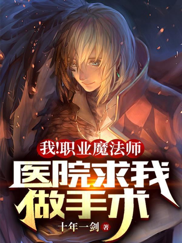 我叫职业法师