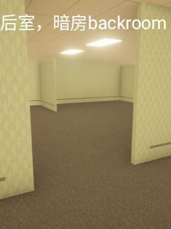 后室暗房backrooms游戏