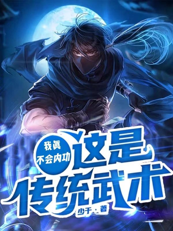 我不会武功 1