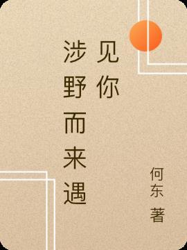 穿越而来遇见你