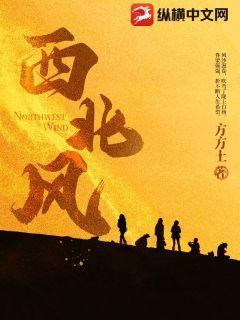 西北风是从哪里吹向哪里