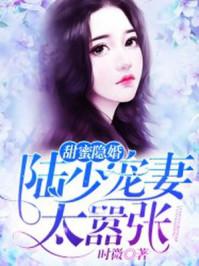 甜蜜婚令陆少的