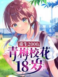 重生2000青梅校花18岁结局