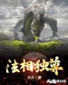 法相流