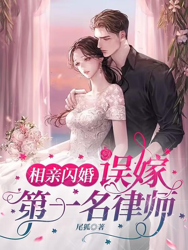 闪婚嫁给律师老公