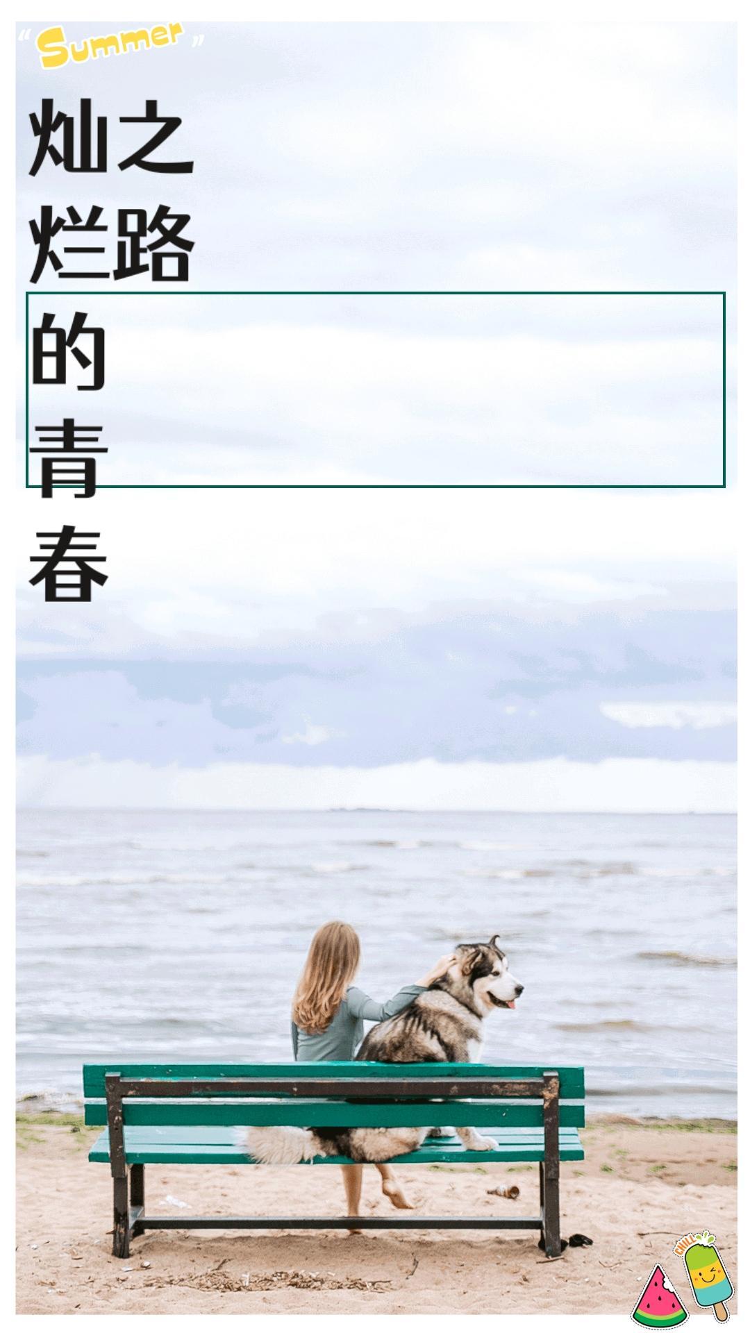 青春灿烂猪八戒