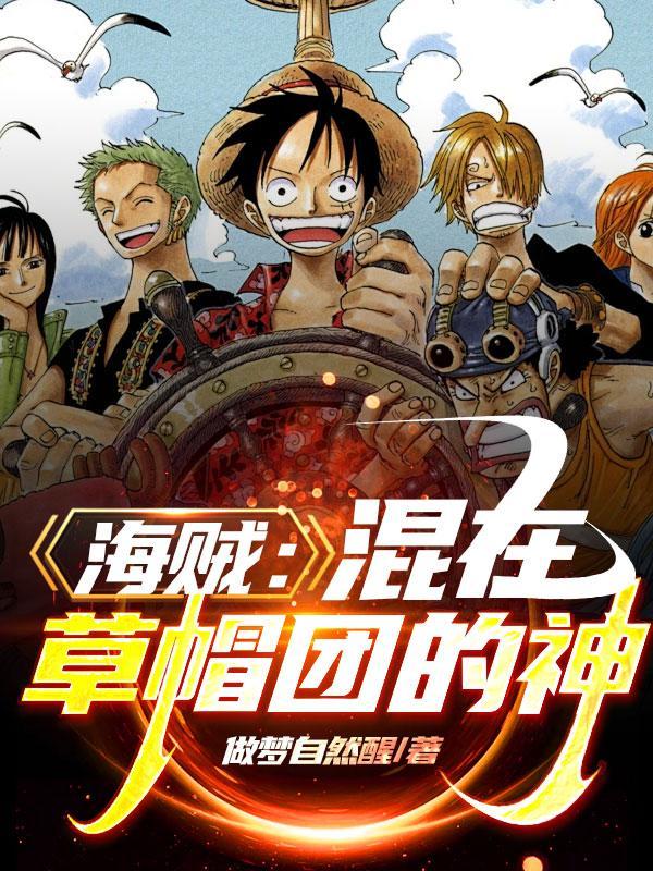 海贼草帽团的画家免费阅读