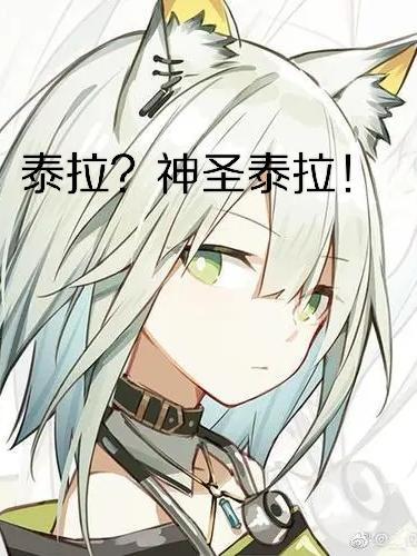 泰拉如何增加神圣之地