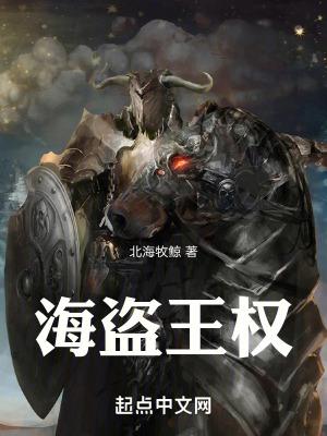 海盗王是什么
