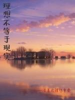 理想不一定是现实的