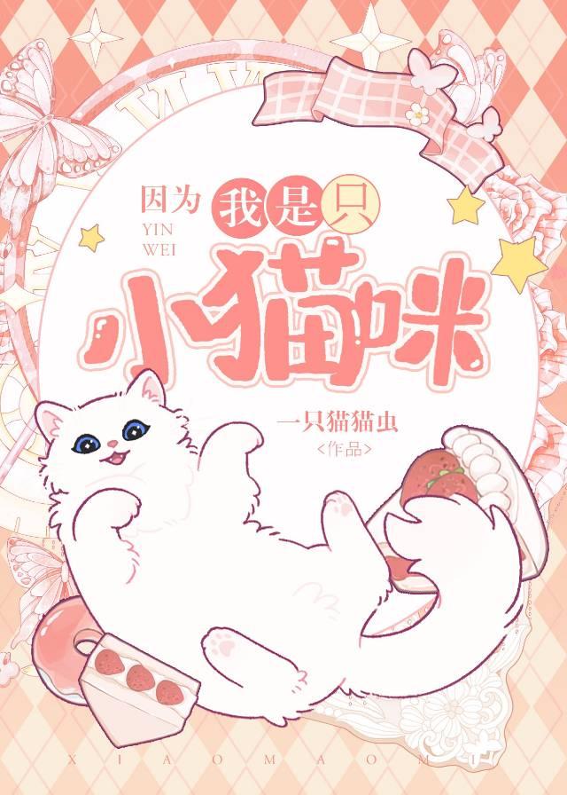 从来没烦恼