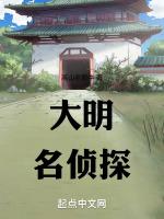 大明星侦探第一季免费