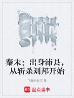 秦汉秦沛
