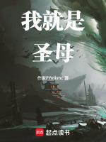 我就是圣母玛利亚是什么歌
