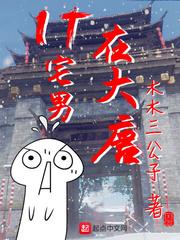 宅在大唐的工科男