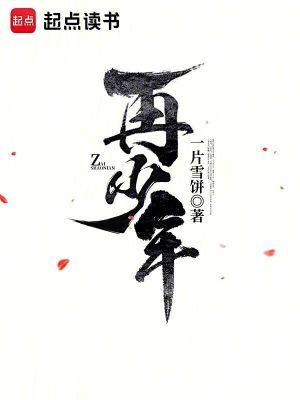 若再许我少年时