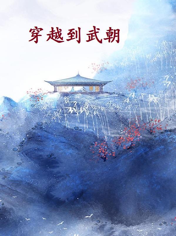穿越武朝短剧免费观看31集高清