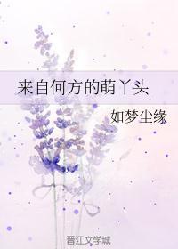 来自何方去往何处