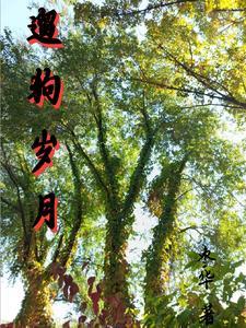 遛狗心情句子