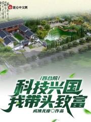 四合院傻柱重生选择科技兴国
