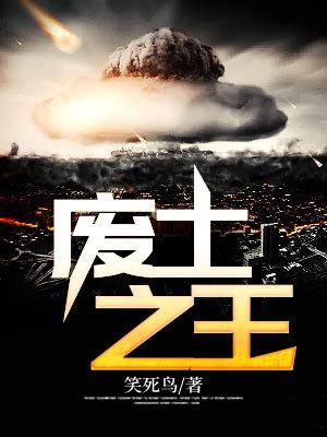 废土之王2.6.1汉化版