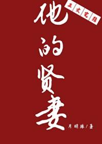 他的贤妻在线阅读