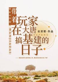 带着城市到大唐