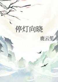 停灯向晓 全文免费阅读
