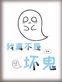 我真不是坏鬼!by