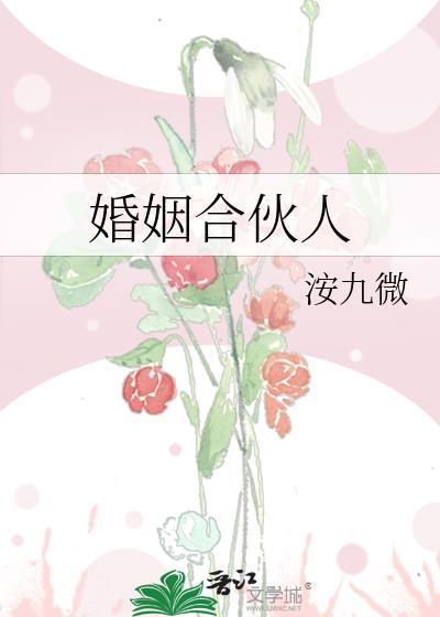 婚姻合伙人番外